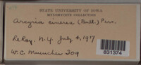Image Associated With the Occurence